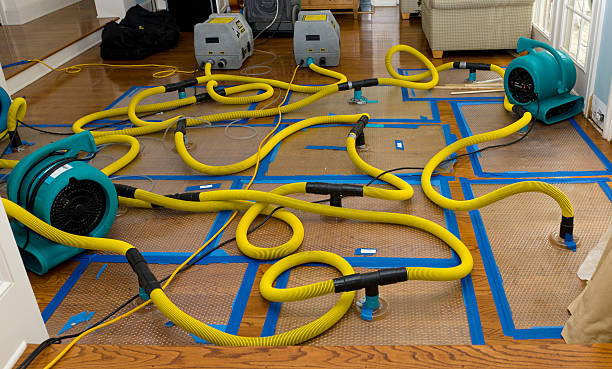 Professional Structural Drying And Dehumidification technician working in Crescent City, CA